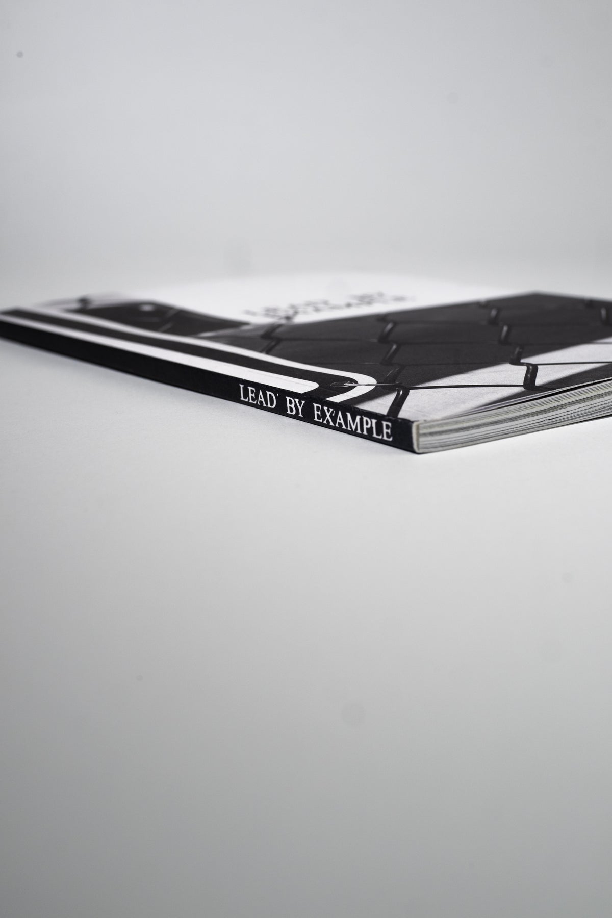 Lead By Example Zine