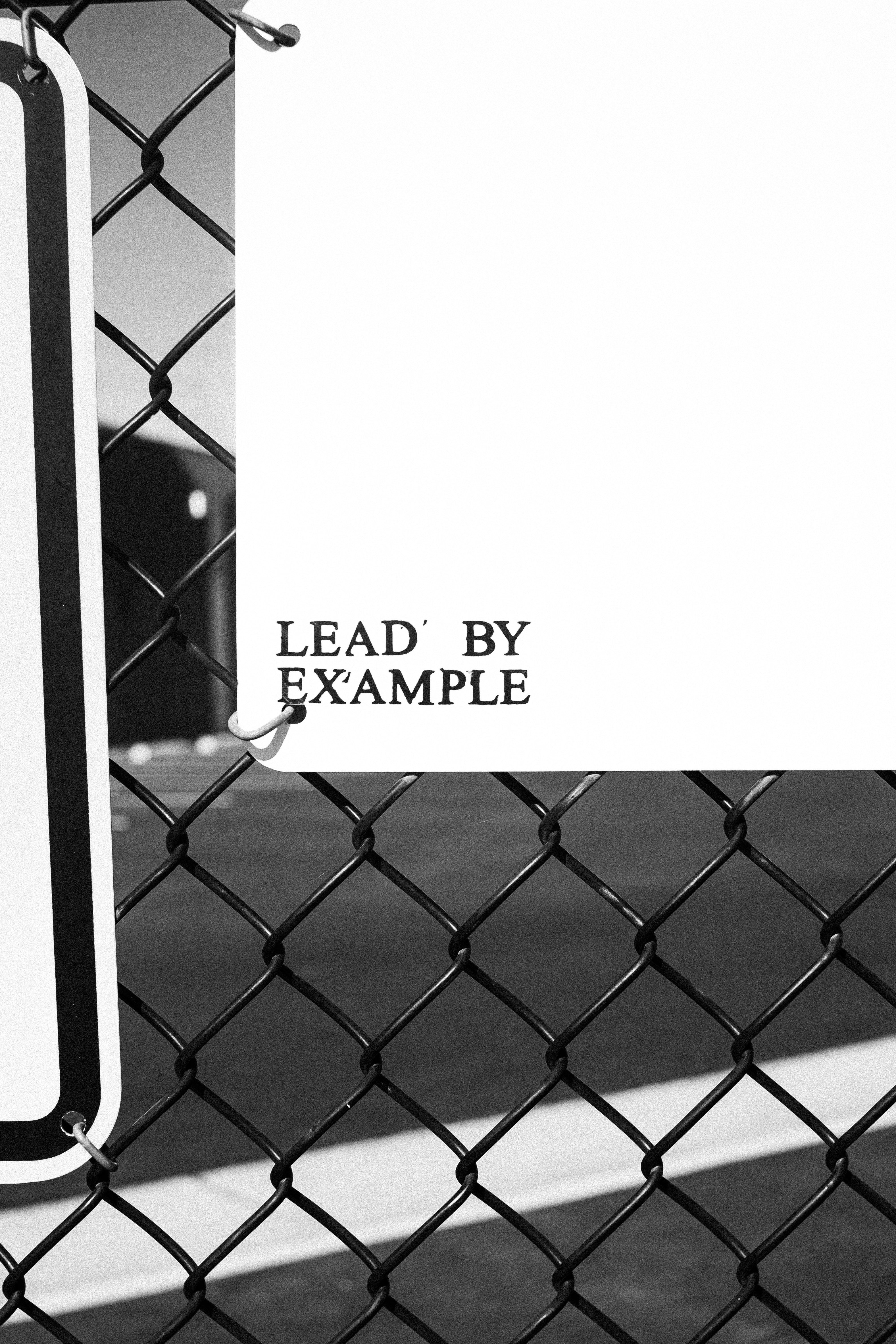 Lead By Example Zine